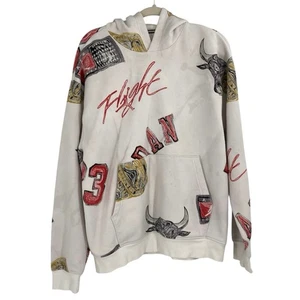 Nike Air Jordan Brooklyn Fleece Graphic Hoodie FN4545-133 Men’s Large Bull READ - Picture 1 of 18