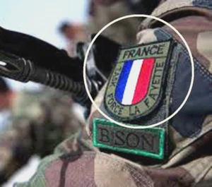 FRENCH FOREIGN LEGION FFL SPECIAL FORCES vêlkrö INSIGNIA Task Force La Fayette - Picture 1 of 3