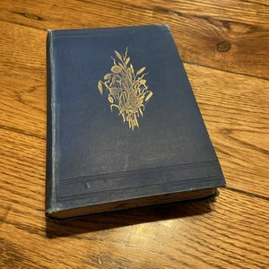 Bibellehren in der Natur von Rev. Hugh Macmillan 1893 Hardcover - Bild 1 von 12