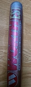 Worth EST C555 Softball Bat 34" 28oz 2-1/4" Barrel Alloy C555 Aluminum Slowpitch - Picture 1 of 15