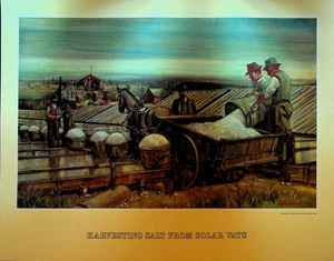 Vedute storiche di Siracusa NY stampa Onondaga risparmio raccolta sale tini solari - Foto 1 di 1