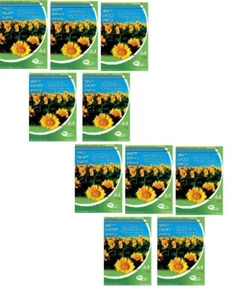 Neo Media Matt A4 Atramentowy papier fotograficzny 128gsm - 1000 arkuszy - Zdjęcie 1 z 1