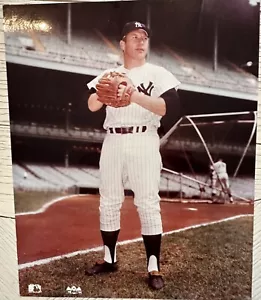 MICKEY MANTLE :Color 8" x " 10 Photo New York Yankees; BN In Plastic SLV, Fr Sho - Picture 1 of 1