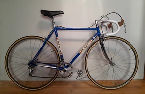 Vintage Road Bike Gios Torino Professional, Campagnolo Nuovo Record - Picture 1 of 20