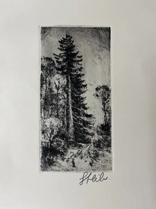 Radierung Josef Steib „hohe Tannen“ 1955 - Bild 1 von 4