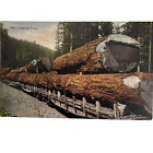 Timber Logging Train Men Pacific Novelty Co Postcard Vintage C1920 Unposted