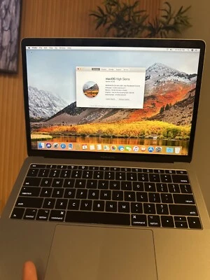 Apple MacBook Pro 13 英寸笔记本电脑,256 GB - MPXU2L/A -(2017 年 6 月,银色) — 第 1/4 张图片