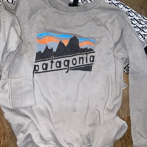 Patagonia Sweatshirt Boys L Gray Logo Organic Cotton - Picture 1 of 5