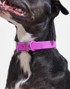 Large Wild One Dog Collar in Orchid Purple Water-Resistant, Easy-Clean, Comfy - Picture 1 of 5