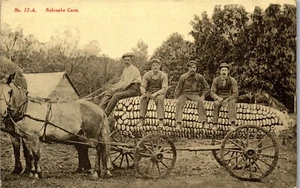 Vintage Postcard Men on Horse Wagon Giant Corn On Cob Farm Exaggeration NE 1907 - Picture 1 of 4