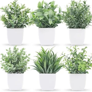 Der Rose 6 Packs Fake Plants Small Artificial Plants Faux Plants Indoor for H... - Picture 1 of 7