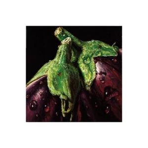 Druck auf Leinwand Auf Papier Poster Oder Bild Almach Aubergines - Bild 1 von 2