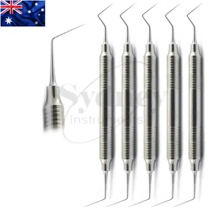 5 Pcs Explorer Endo DG 16 Periodontal Hygienist Diagnostic Hollow Probes - Picture 1 of 4
