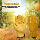 Rękawice ogrodnicze ze skóry bydlęcej odporne na przecięcie elastyczne nadgarstek design miten (XL)