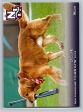 Ollie Grandstand 2013 NNO New Hampshire Fisher Cats Bat Dog