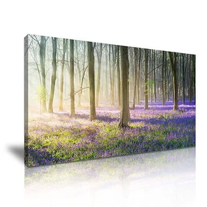 Atemberaubende Bluebells Wald Sonnenlicht Leinwand Wandbild Bild Druck 60x30cm - Bild 1 von 2