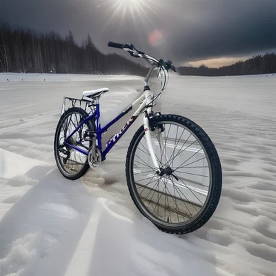 Bicicleta de montaña Trek 800 Sport de una sola pista Foto 1 de 4