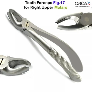 Fig #17 Dental Extraction Forceps | Precision Tool for Upper Molar Removal - Picture 1 of 3