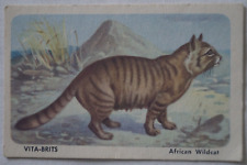 Cats of The World Vintage 1960 Vita-Brits Mid Size Trade Card African Wildcat