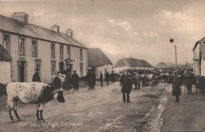 Fair Day Enfield, Meath, Ireland Postcard - Unposted - Picture 1 of 2