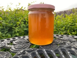 Organic Honey (a set of Two Jars) - Picture 1 of 6