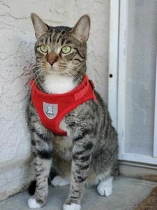 Cat Harness and Leash Set Escape Proof Adjustable Reflective for Walking - Picture 1 of 7