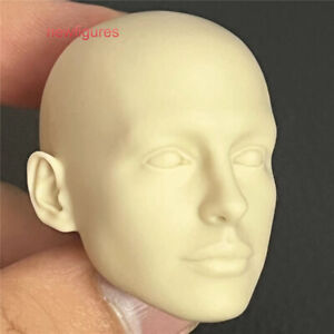 1:6 Catwoman Anne Hathaway Head Sculpt Model For 12" Female Action Figure Body