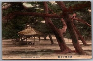 Postcard Kobe Japan c1920 Park of Maiko Hand Coloured - Picture 1 of 2