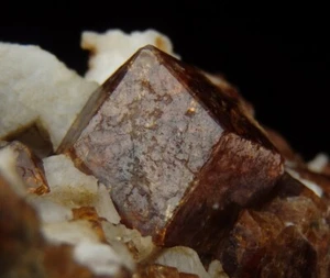 GARNET var. GROSSULAR crystals --- NORWAY - Nordland - Vefsn - Toven /pj755 - Picture 1 of 15