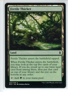 FERTILE THICKET Battle for Zendikar #237 BFZ(LP)(MTG) - Picture 1 of 1