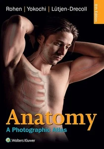 Anatomy: A Photographic Atlas - Paperback, by Rohen MD Johannes W. (New) - Picture 1 of 1
