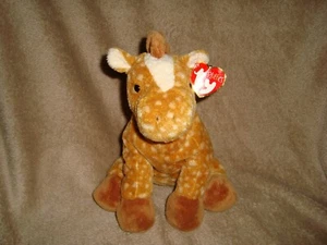 2003 TY PLUFFIES Lasso the horse 9" Plush & Beans W/Tags - Imagen 1 de 8