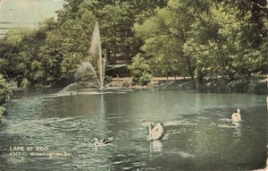 Postcard Lake Zoo Swans Wilmington Delaware - Picture 1 of 2
