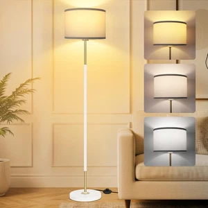 Lampada Da Terra Salotto, 3 Temperature Di Colore Con E27 Lampadina & Interrutto - Foto 1 di 12