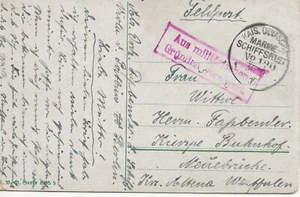 Postal de barco hospital alemán Primera Guerra Mundial viola; escaso caché "RETRASADO" usado septiembre 1917 - Imagen 1 de 3