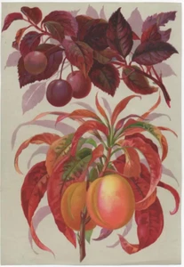 ORIGINAL KISTENETIKETT VINTAGE - 10 1/2X7 1/4 LAGER VERKÄUFER MUSTER # 3 - Bild 1 von 2