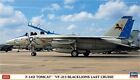 Hasegawa 1/72 America Navy F-14D Tomcat VF-213 black Lions Last Cruise Plastic