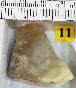 FL State Stone Rare Free Form Agatized Fossilized Coral Specimen from Tampa Bay - Picture 1 of 6