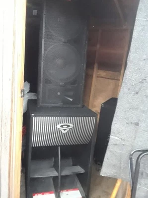 Vendo Bocinas Usadas Dos Bajos Cerwin Vega Dos medios Jbl Foto 1 de 4