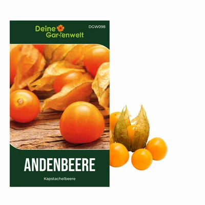 Andenbeere Kapstachelbeere Samen - Physalis peruviana - Andenbeerensamen - Bild 1 von 3