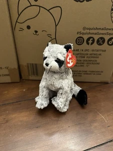 Ty Beanie Babies: Bandito The Raccoon - New - Without Tag Protector - Picture 1 of 5