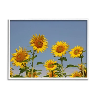 Arte de pared enmarcado en giclee Sunflower Field Clear Sky, diseño de Lil' Rue Foto 1 de 4