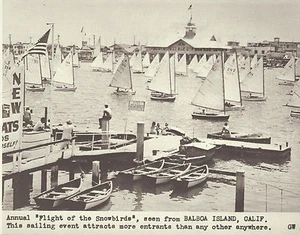 NEWPORT BALBOA Flight of the Snowbirds SAILBOAT RACE Photo Print 1461 11" X 14" - Picture 1 of 1