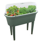 Mini Greenhouse Plants Box Seedbed Table Propogator Garden Indoor Outdoor Flower