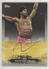 2020 Topps WWE NXT NXT Roster Auto Silver /25 Velveteen Dream #A-VD Auto