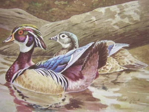 Stampa timbro David Plank State Duck 1980 Missouri stampa artistica firmata - Foto 1 di 2