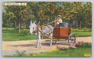Ozark Express Maultier und Wagen See der Ozarks Missouri Leinen Postkarte um 1953 - Bild 1 von 2