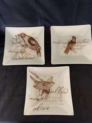 Set of 3 Decorative Square Glass Plates American Birds, Lettering Bird Species - Image 1 of 4