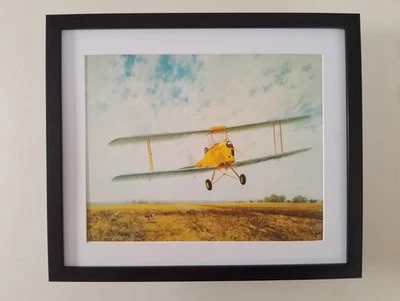 Gerald Coulson Авиационная печать 'Счастливые Дни' Тигровая Мотылек В РАМКЕ - Изображение 1 из 2