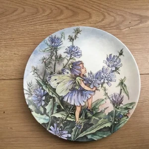 Vintage Wedgwood THE CHICORY FAIRY from the world of Flower Fairies Plate 1994 - Picture 1 of 2